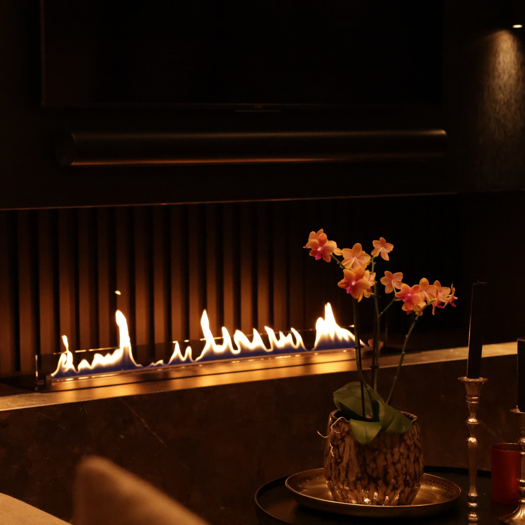 Bio ethanol fireplaces without a flue or chimney - Wild Flame