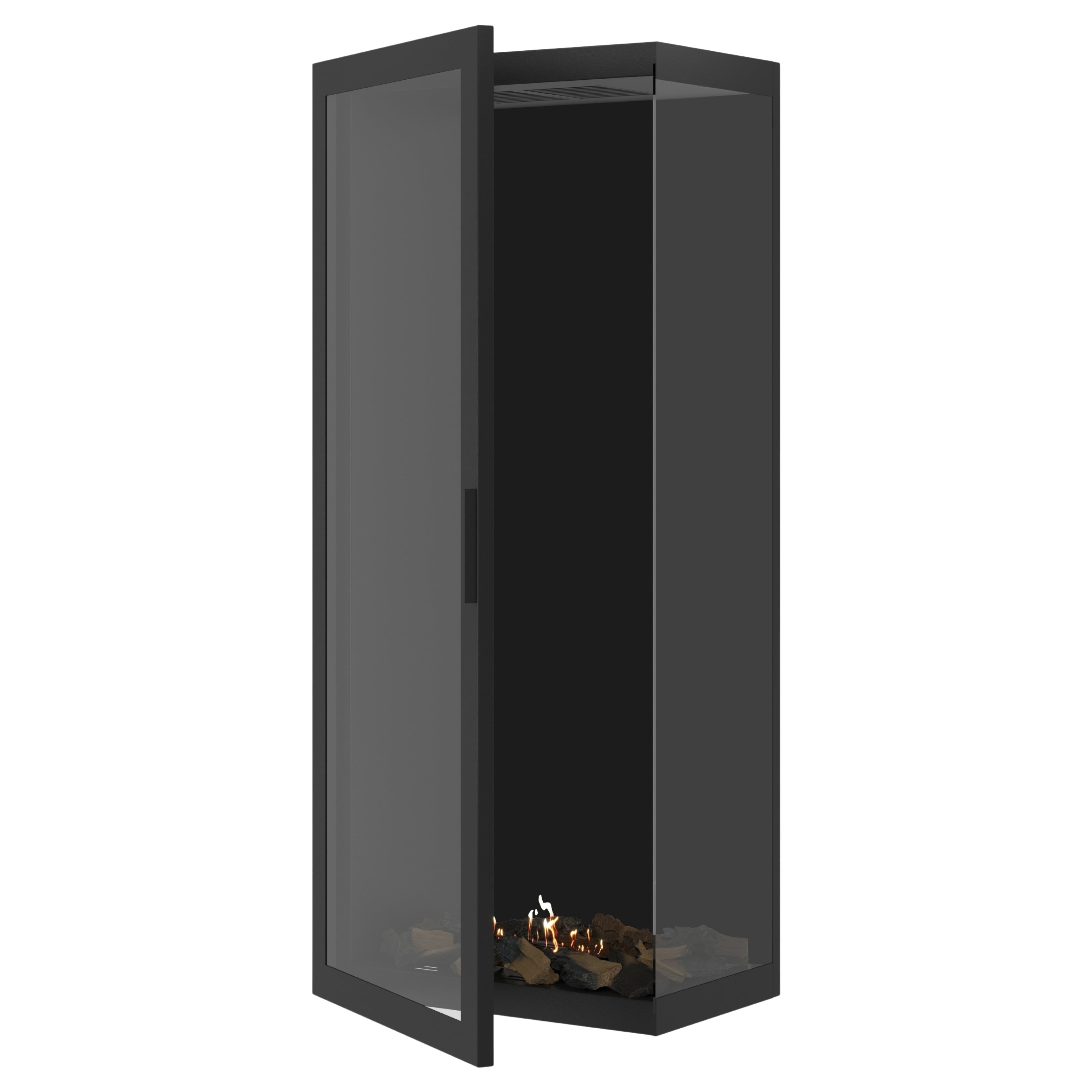 Bio ethanol fireplaces without a flue or chimney - Wild Flame